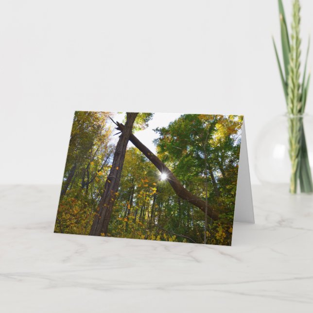Tarjeta de amistad (Anverso)