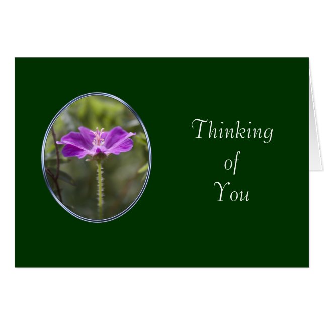 tarjeta de amistad (Anverso (Horizontal))