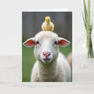 Tarjeta de amistad de oveja y pollito