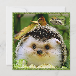 Tarjeta de amistad Hedgehog
