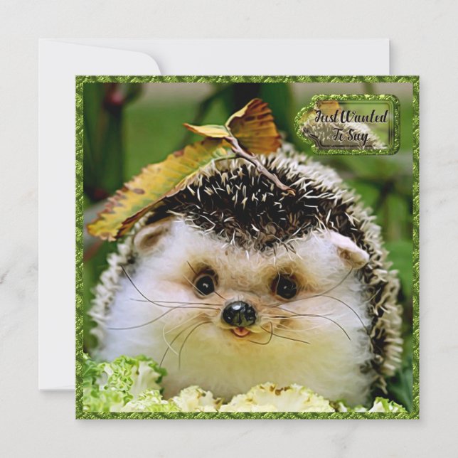 Tarjeta de amistad Hedgehog (Anverso)