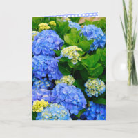Tarjeta de amistad Hydrangeas