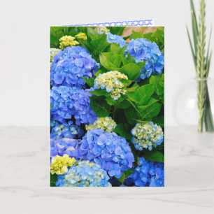 Tarjeta de amistad Hydrangeas