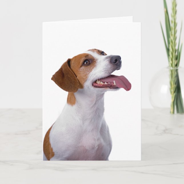 Tarjeta de amistad Jack Russell Terrier (Anverso)