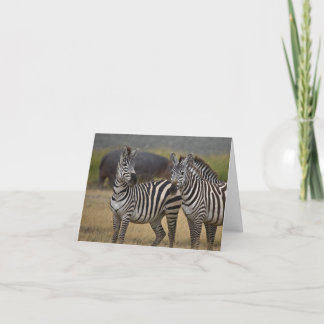 Tarjeta de amistad Zebra