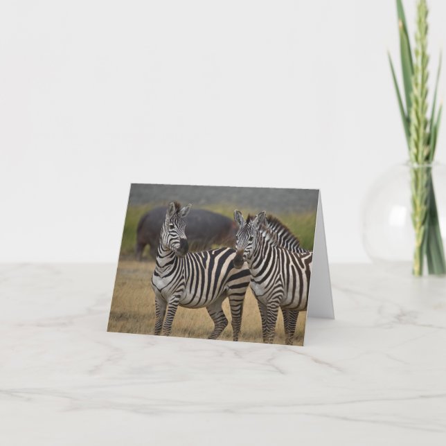 Tarjeta de amistad Zebra (Anverso)