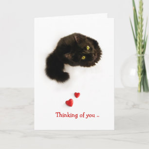 tarjeta de amor de gato pensando en ti