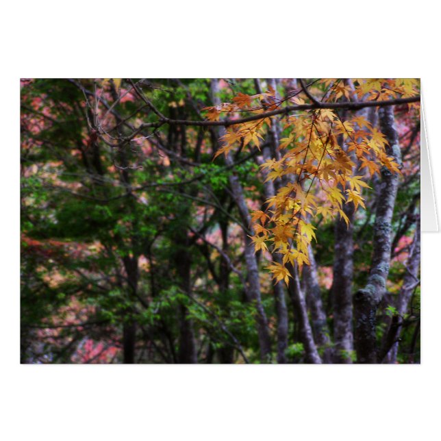 Tarjeta de amor de otoño (Anverso (Horizontal))