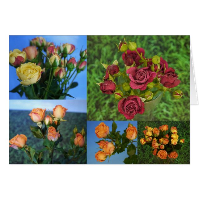 Tarjeta de amor diario (Anverso (Horizontal))