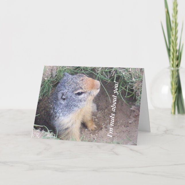 Tarjeta de amor Groundhog (Anverso)