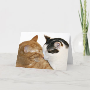 tarjeta de amor para gatitos