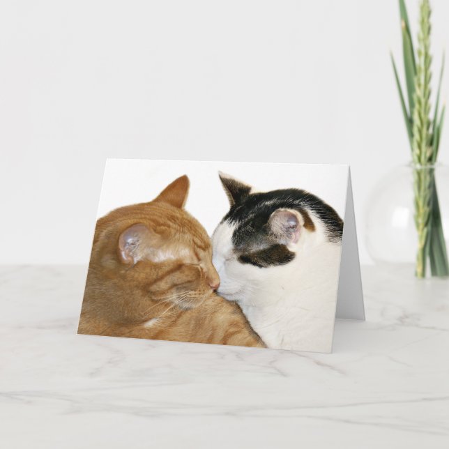 tarjeta de amor para gatitos (Anverso)
