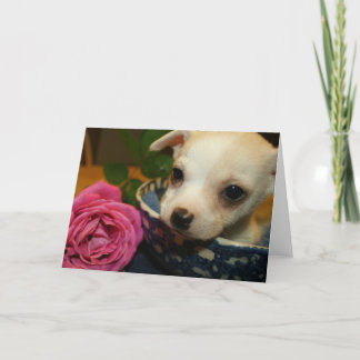 Tarjeta de amor Valentine Rosa de cachorros Chihua