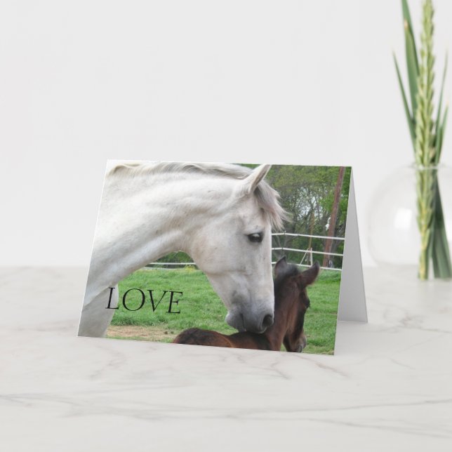 TARJETA DE AMOR Y CARTA (Anverso)