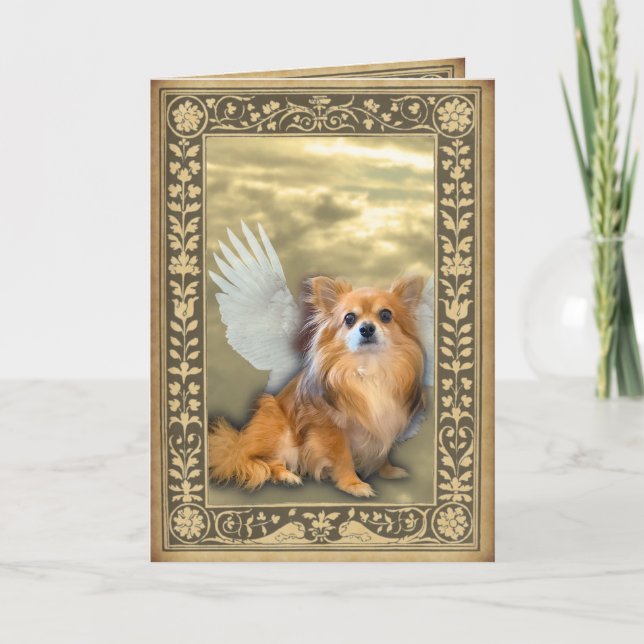 Tarjeta de Ángel de Chihuahua Longhair (Anverso)