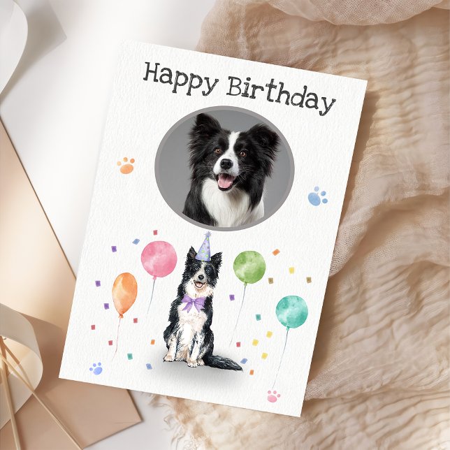Tarjeta de animales Collie Dog de la frontera de l (Subido por el creador)