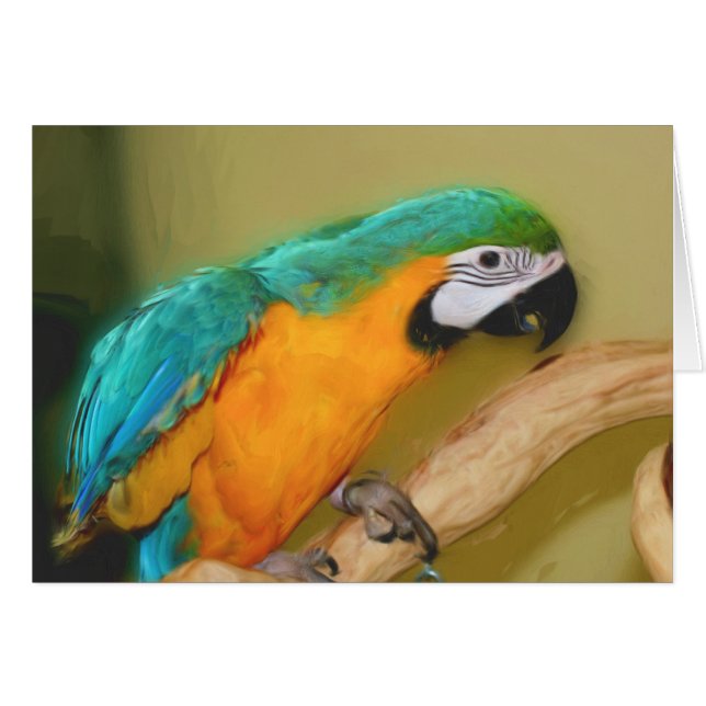 Tarjeta de animales de la pintura Blue Gold Macaw  (Anverso (Horizontal))