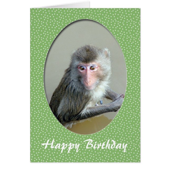 tarjeta de animales del zoológico de cumpleaños fe (Frente)