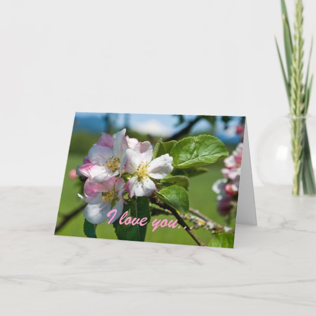 Tarjeta de aniversario Apple Blossom (Anverso)