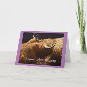 Tarjeta de aniversario Bovino de montaña