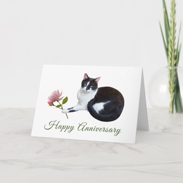 Tarjeta de aniversario Cat with Pink Rose (Anverso)