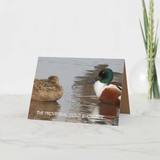 Tarjeta de aniversario con patos Shoveler (Anverso)