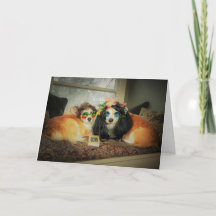 Tarjeta de Aniversario Corgi