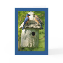 tarjeta de aniversario de bluebird