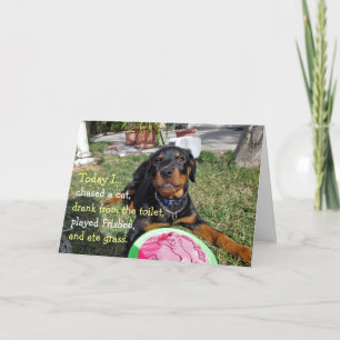 Tarjeta de aniversario de cachorro Rottweiler ocup