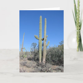 Tarjeta de aniversario de Cactus Divertido