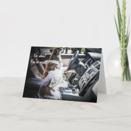 Tarjeta de aniversario de Conducción Corgis