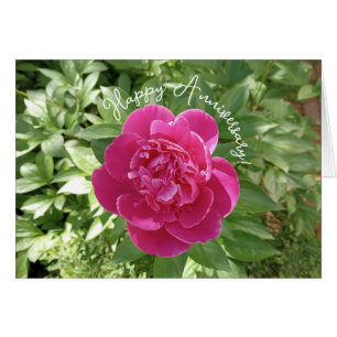 Tarjeta de aniversario de flor de peonía rosa vibr