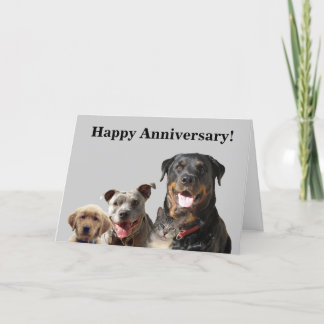 Tarjeta de aniversario de Mascotas Adorables