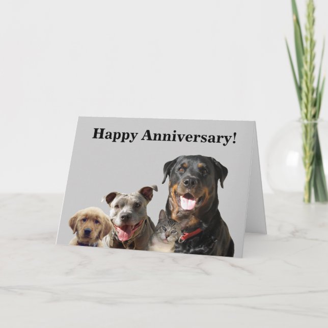 Tarjeta de aniversario de Mascotas Adorables (Anverso)