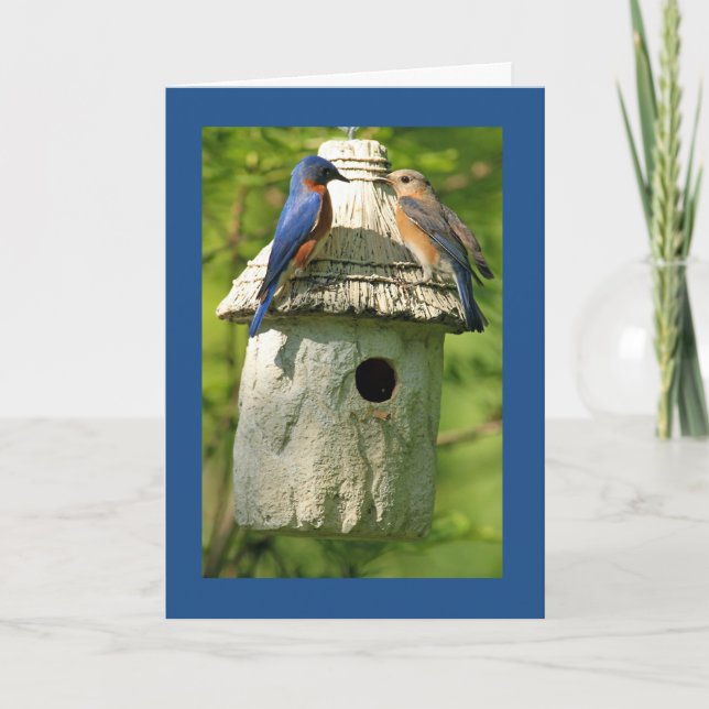 tarjeta de aniversario de pájaro azul (Anverso)