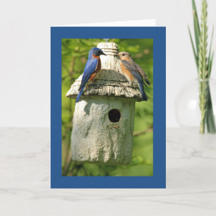 tarjeta de aniversario de pájaro azul