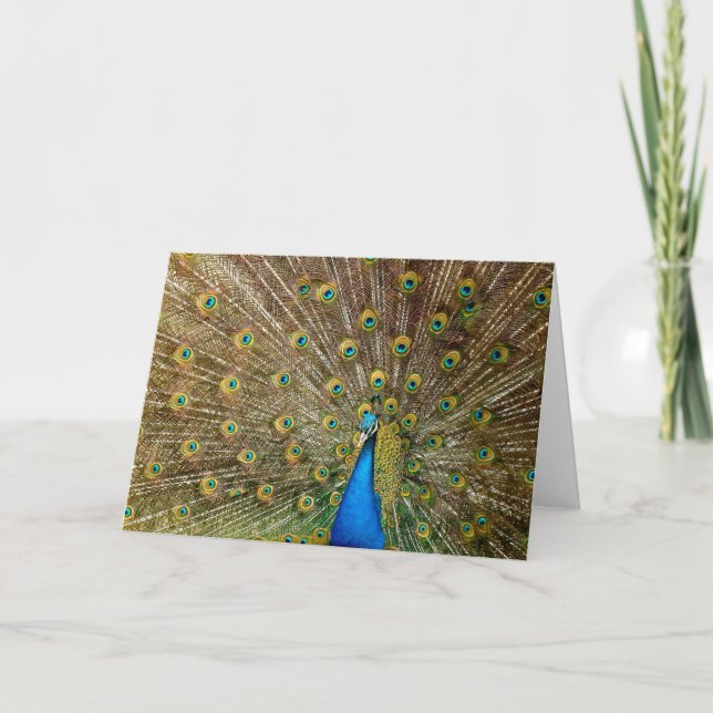 Tarjeta de aniversario de Peacock (Anverso)