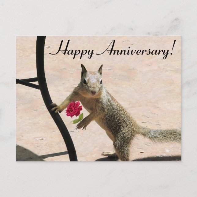Tarjeta de Aniversario del Rosa de Squirrel Holdin (Anverso)
