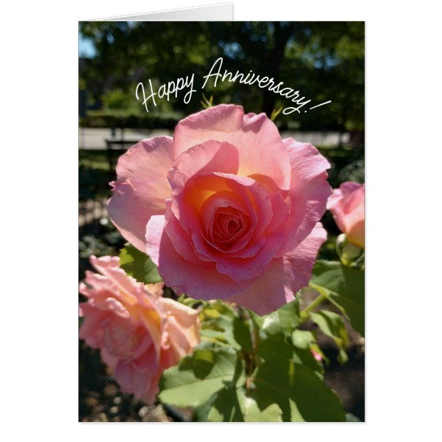 Tarjeta de Aniversario del Té Rosa Radiante (Frente)