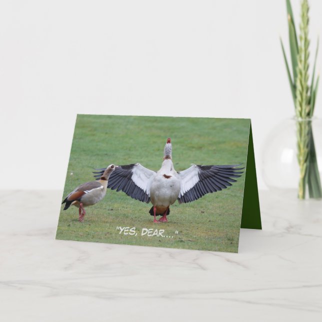 Tarjeta de aniversario divertida (Anverso)