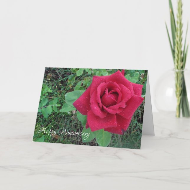Tarjeta de aniversario feliz amor rosa roja gotas  (Anverso)