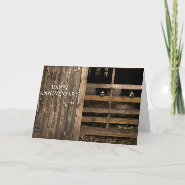 Tarjeta de Aniversario Feliz de Oveja (Anverso)