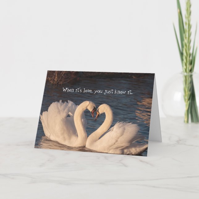 Tarjeta de aniversario 'Te amo corazón de cisne' (Anverso)