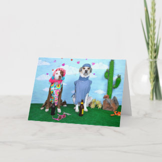 Tarjeta de Aniversary, chistosa, perros en ropa