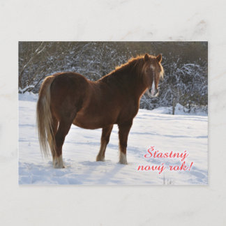Tarjeta de Año Nuevo de caballo checo