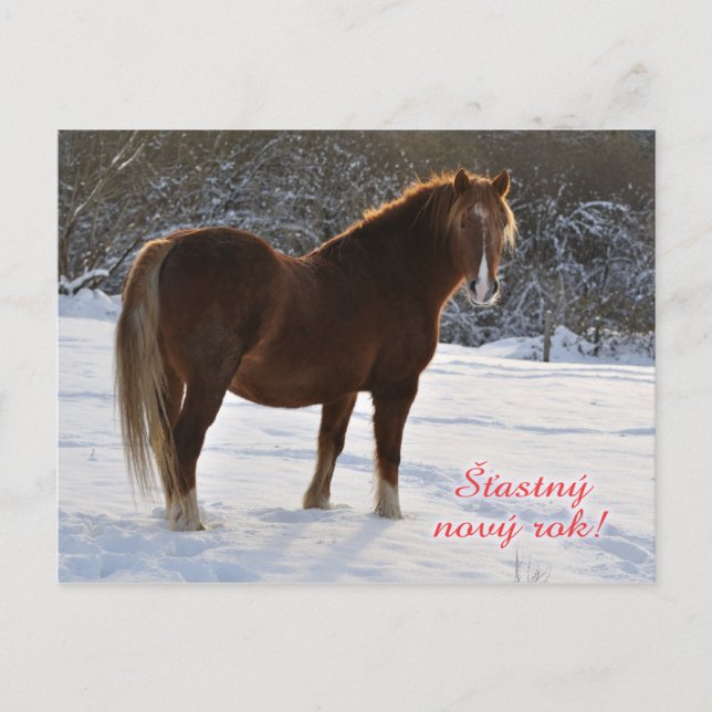 Tarjeta de Año Nuevo de caballo checo (Anverso)