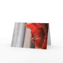 Tarjeta de Año Nuevo del León Rojo Amaryllis
