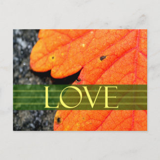 Tarjeta de Anuncio de Boda Save The Dates