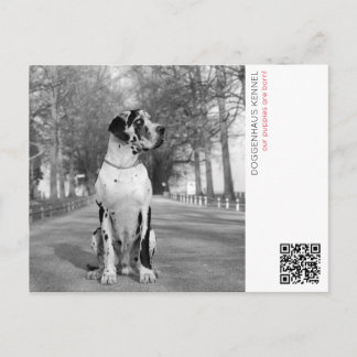 Tarjeta de anuncio de cachorros
