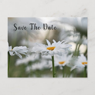 Tarjeta de Anuncio de Cumpleaños Save The Date